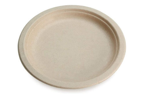 Top 10 Best Compostable Plates of 2026